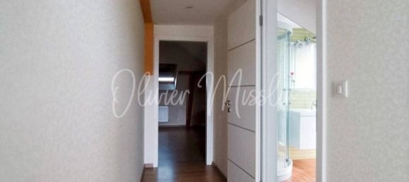 5 bedrooms House in Bantzenheim, France No. 66399 5