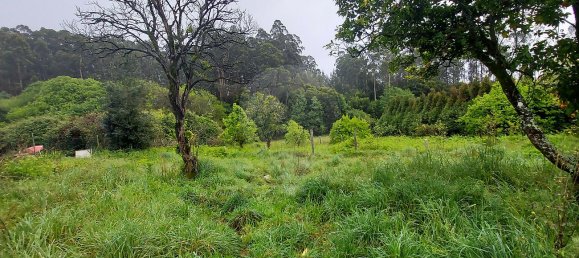 3 bedrooms House in Ovar, Portugal No. 42718 3