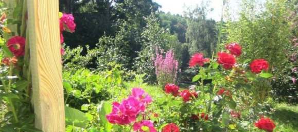 1 bedroom House in Konigswiesen, Austria No. 222818 28