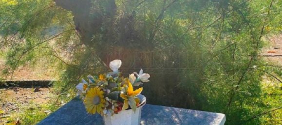 Дом с 10 спальнями в Лонгаре, Италия № 360047 11