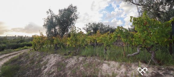  Land in Silgueiros, Portugal No. 66194 10