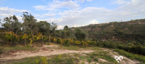  Land in Silgueiros, Portugal No. 66194 12