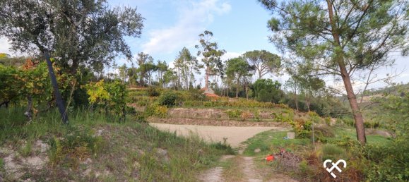  Land in Silgueiros, Portugal No. 66194 6