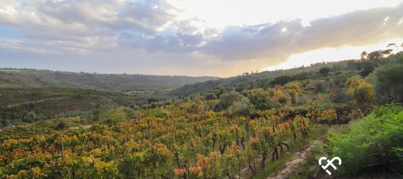  Land in Silgueiros, Portugal No. 66194 4