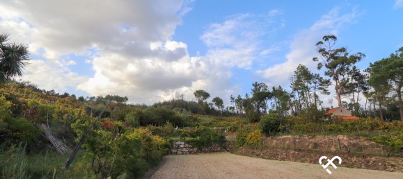  Land in Silgueiros, Portugal No. 66194 7
