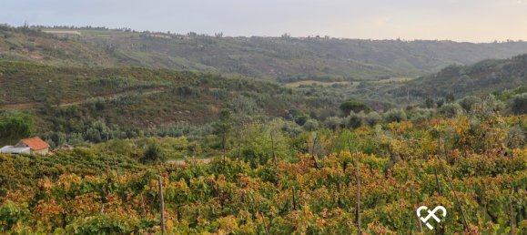  Land in Silgueiros, Portugal No. 66194 5