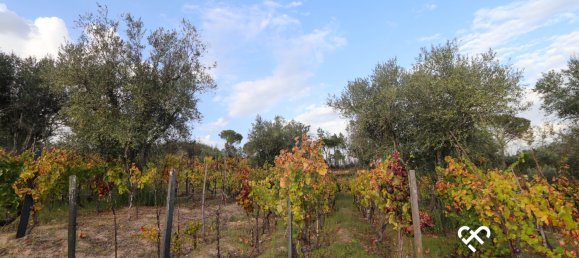  Land in Silgueiros, Portugal No. 66194 13