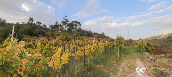  Land in Silgueiros, Portugal No. 66194 9