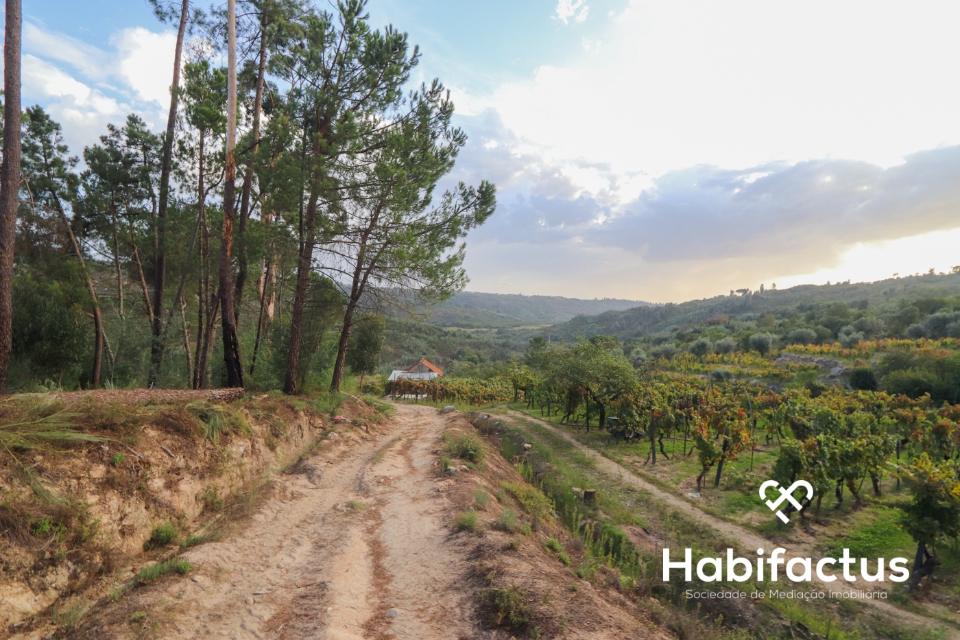  Land in Silgueiros, Portugal No. 66194