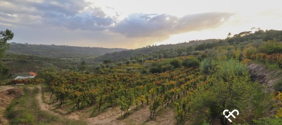  Land in Silgueiros, Portugal No. 66194 2