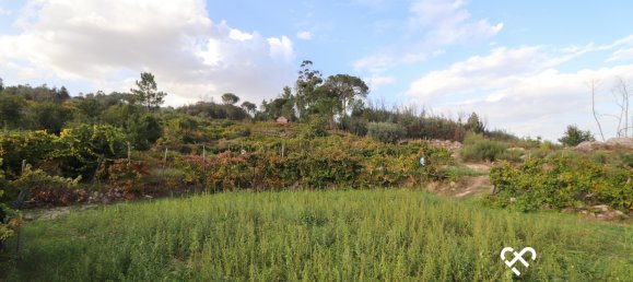  Land in Silgueiros, Portugal No. 66194 8