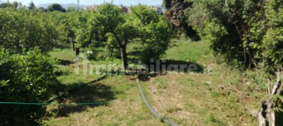 Grundstück in Palermo, Italy 500m², Nr. 335091 2