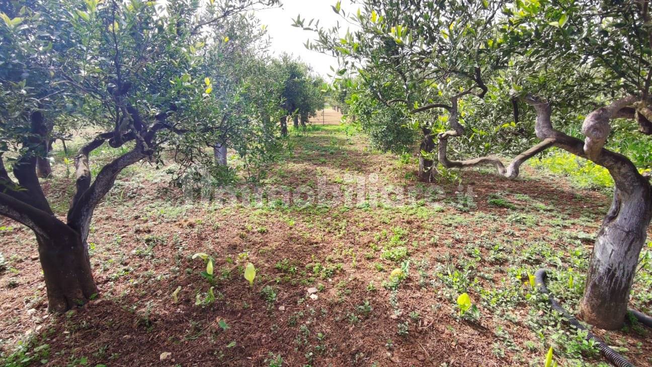 Grundstück in Palermo, Italy 500m², Nr. 335091