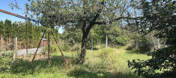 5 rooms Townhouse in Elbe-Elster, Germany No. 56534 2