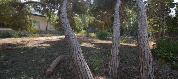 Terreno en Cabo Roig, Spain 1533 m² No. 516 8