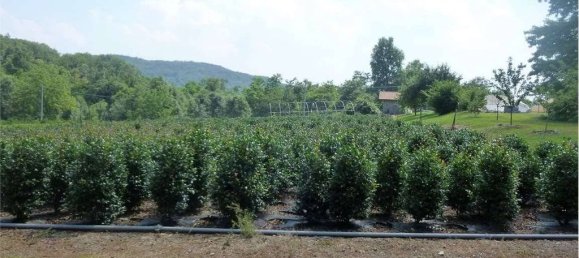 2 bedrooms House in Pisano, Italy No. 150449 17