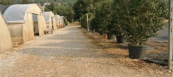 2 bedrooms House in Pisano, Italy No. 150449 18