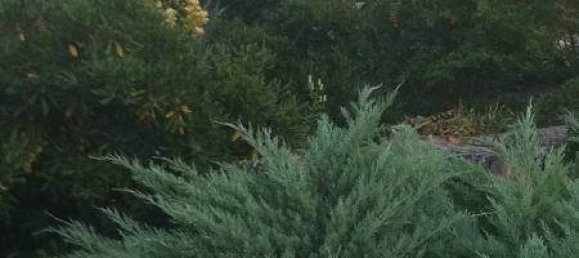 5 غرف نوم منزل في Khazar, Azerbaijan رقم 984 4