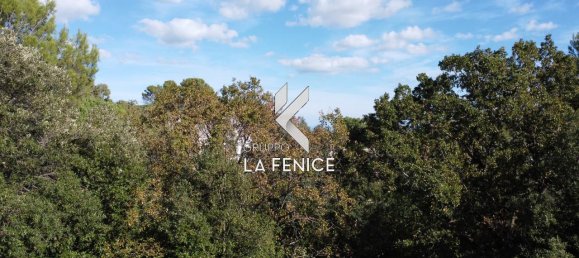 6غرفة فيلا في Locorotondo, Italy رقم 24389 9