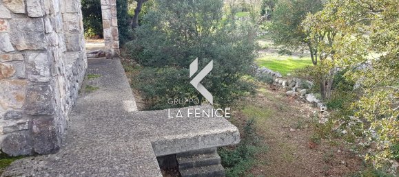 6غرفة فيلا في Locorotondo, Italy رقم 24389 36