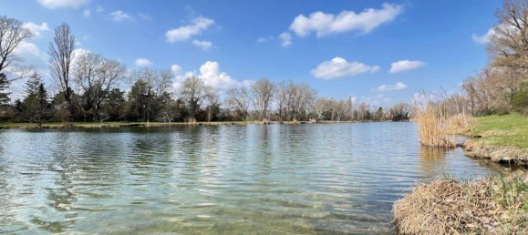 3-Zimmer Haus in Wien, Austria, Nr. 180713 9