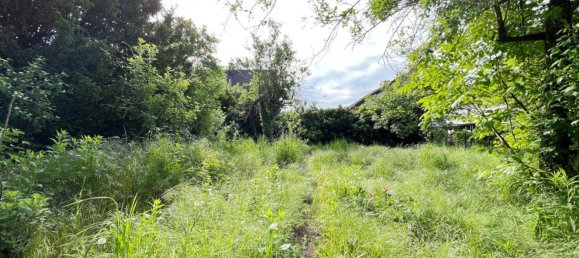 3-Zimmer Haus in Wien, Austria, Nr. 180713 7