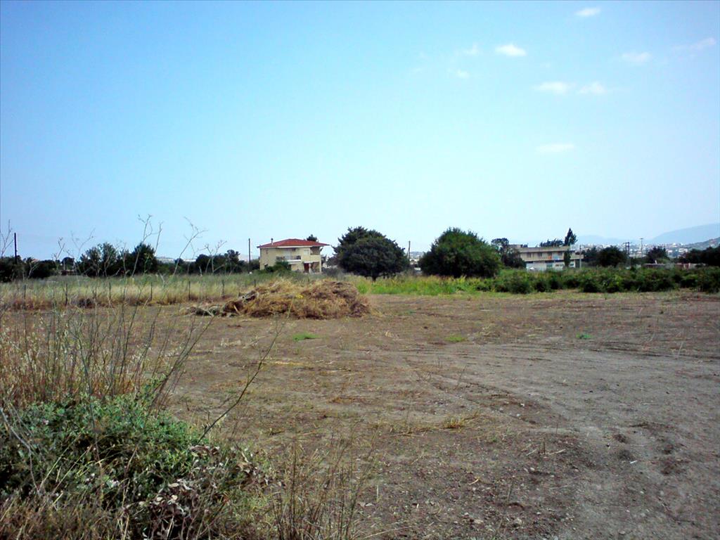  فندق في Pallini, Greece 2072متر مربع رقم 7172