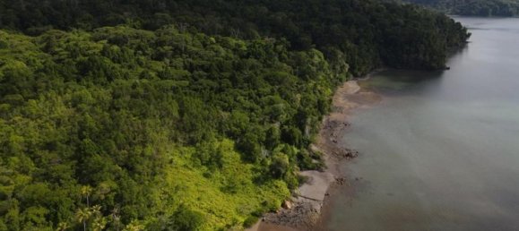 Terrain à Puerto Jimenez, Costa Rica No. 1643 4