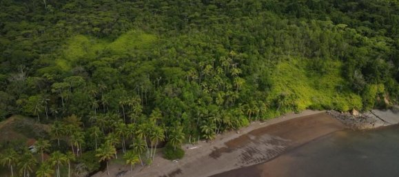 Terrain à Puerto Jimenez, Costa Rica No. 1643 2