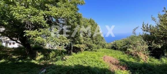 366m² Commercial property in Mouresi, Greece No. 758 6