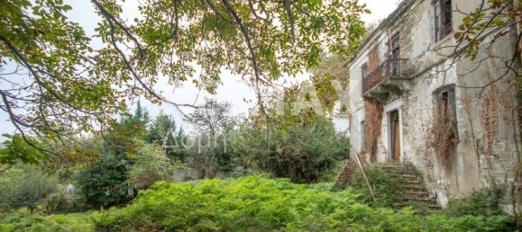 Haus in Mouresi, Greece 366m², Nr. 758 22