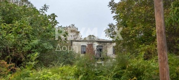 366m² Commercial property in Mouresi, Greece No. 758 11