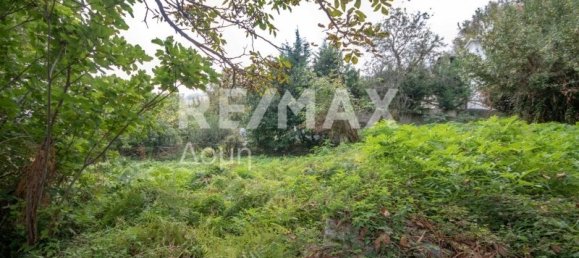 366m² Commercial property in Mouresi, Greece No. 758 17