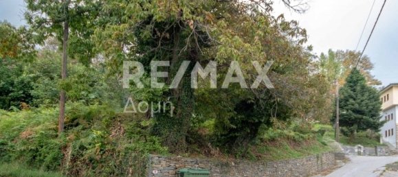 Haus in Mouresi, Greece 366m², Nr. 758 13