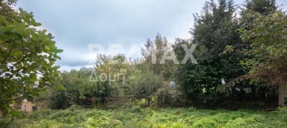 Haus in Mouresi, Greece 366m², Nr. 758 19