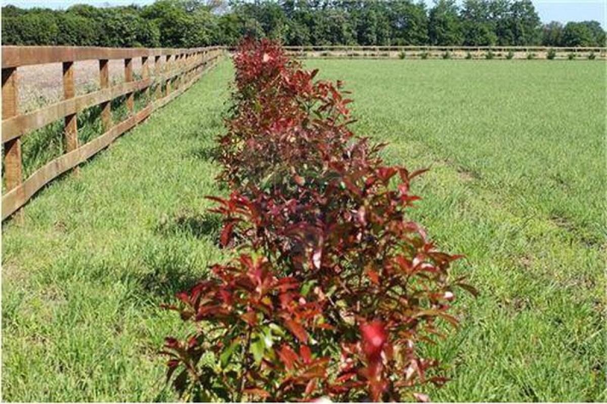  Land in San Antonio de Areco, Argentina No. 46718