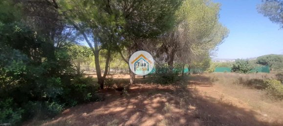 3000m² Land in Quarteira, Portugal No. 77477 5