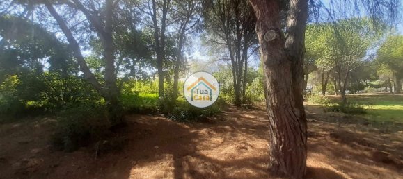 3000m² Land in Quarteira, Portugal No. 77477 9