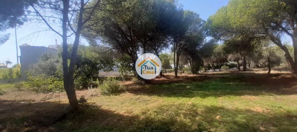 3000m² Land in Quarteira, Portugal No. 77477 2