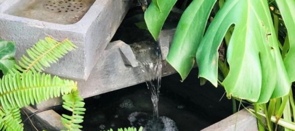 2 bedrooms Apartment in Mijas, Spain No. 50510 36