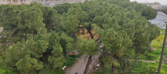 3-Zimmer Wohnung in Trani, Italy, Nr. 80056 14