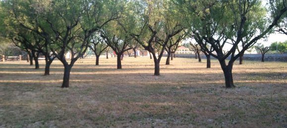 4 غرف نوم فيلا في La Sella, Spain رقم 284701 24