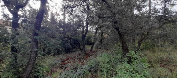 Terreno en Villeneuve-les-Avignon, France No. 111184 5