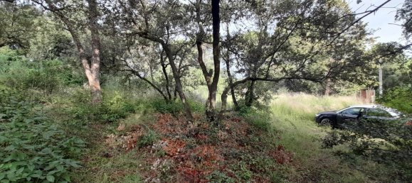 Terreno en Villeneuve-les-Avignon, France No. 111184 7