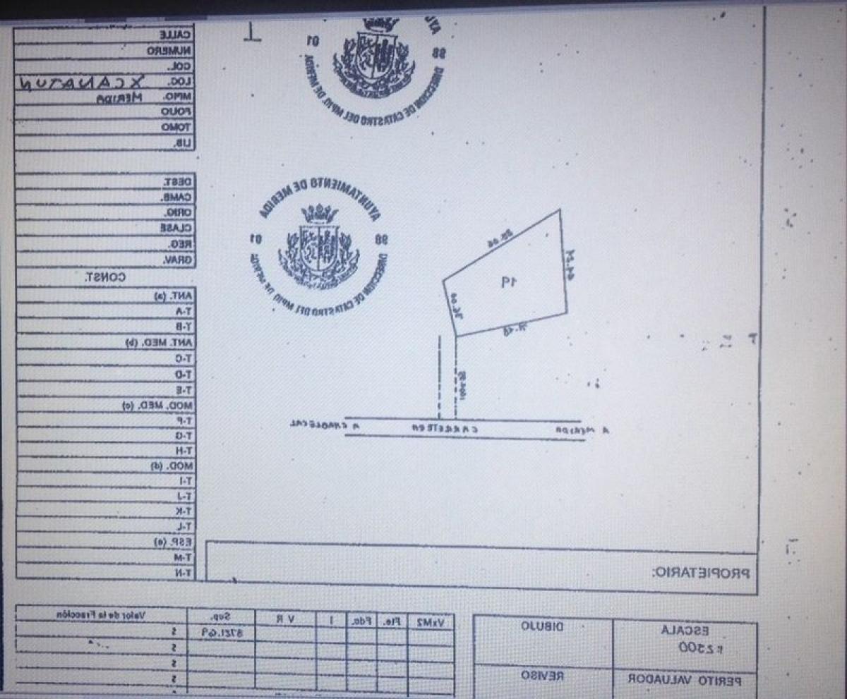  Land in Merida, Mexico No. 128127