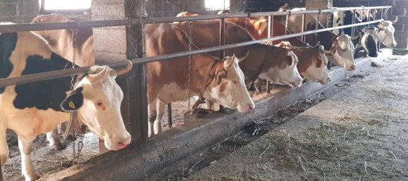 Grundstück in Alb-Donau-Kreis, Germany 35000m², Nr. 336461 8