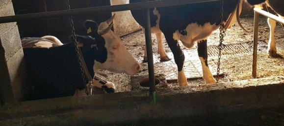 Grundstück in Alb-Donau-Kreis, Germany 35000m², Nr. 336461 6