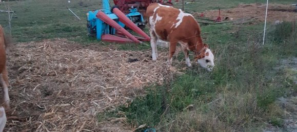 Grundstück in Alb-Donau-Kreis, Germany 35000m², Nr. 336461 2