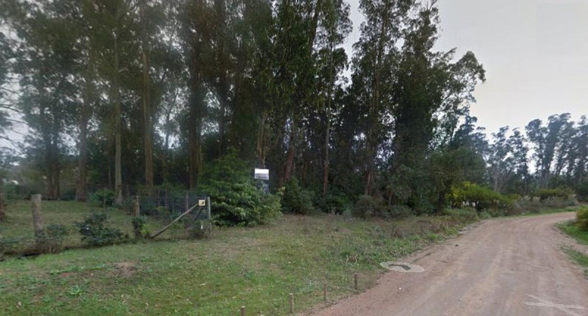  Land in Maldonado, Uruguay No. 13863