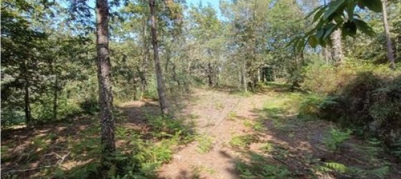 142m² Land in Guimaraes, Portugal No. 190044 17